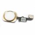 Home Button Assembly for iPhone 6 4.7" Gold