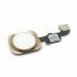 Home Button Assembly for iPhone 6 4.7" Gold