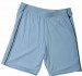 JAMES &amp; NICHOLSON BASIC TEAM SHORTS